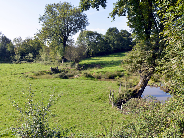 Plan de Paysage du Pays de Gâtine - crédit photo : ©Alain Buchet